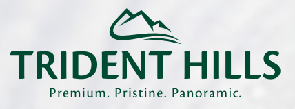 Trident Central Vista Panchkula